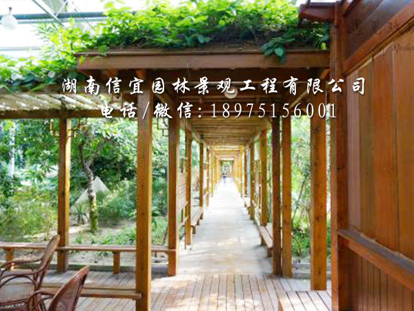 风雨走廊