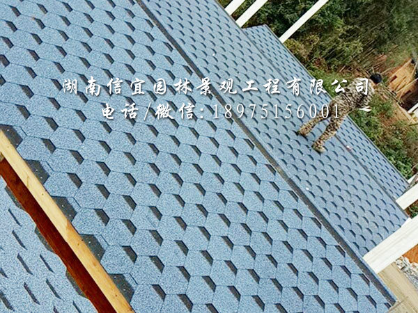 衡阳市珠晖区花花世界景区商业街木屋安装