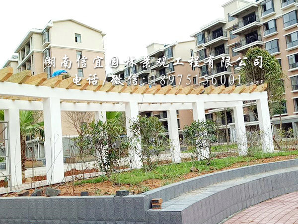 耒阳市荷塘月色小区葡萄架安装