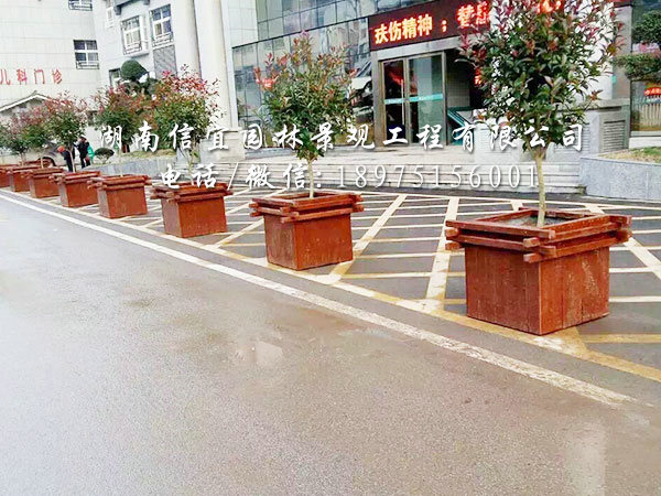 张家界市桑植县人民医院定制花箱