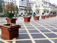张家界市桑植县人民医院定制花箱
