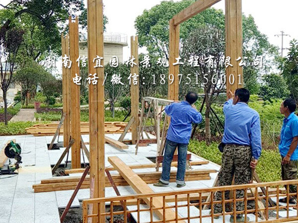 株洲市茶陵县自来水厂葡萄架安装